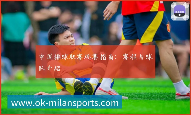 中国排球联赛观赛指南:赛程与球队介绍