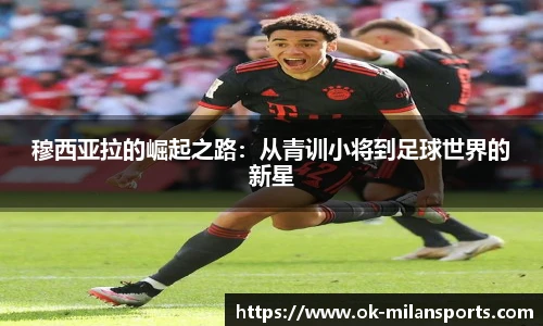 米兰体育官网